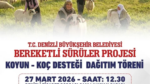 Denizli'de Koyun ve Koç Dağıtımı