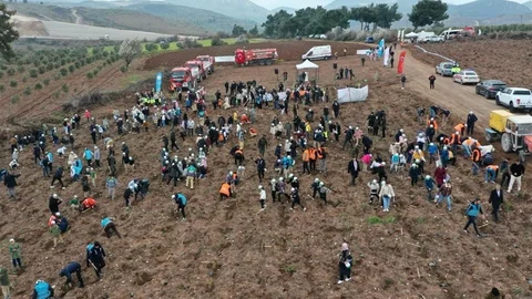 Manisa’da Fidan Dikimi Etkinliği