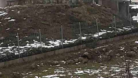 Leyleklerin Sakarya'da Mola Verdiği Anlar