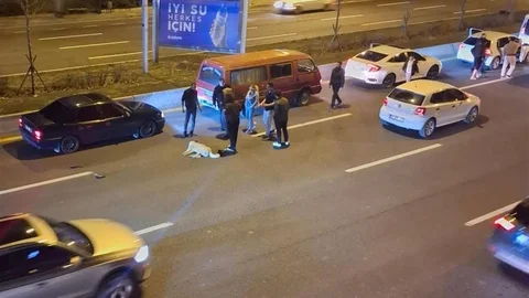 Ankara'da Başka Bir Köpek Sorunu