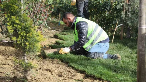 Kağıthane'de Yeşil Alan Düzenlemeleri Devam Ediyor