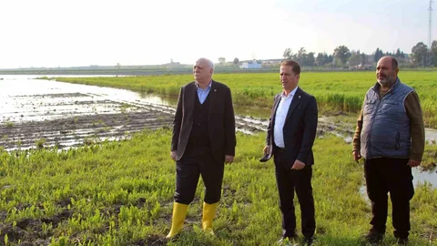 Adana'da Çiftçilere Acil Nakdi Yardım Gerekiyor