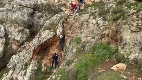 Uçurumdan Düşen Köpek Kurtarıldı