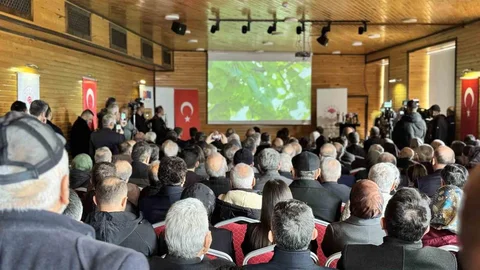 Yenice Ihlamur Balı Tanıtıldı