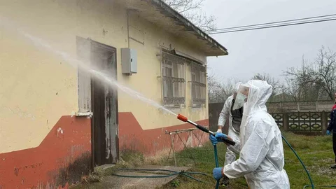 Samsun'da Kokarca Zararlısına İlaçlama Devam Ediyor