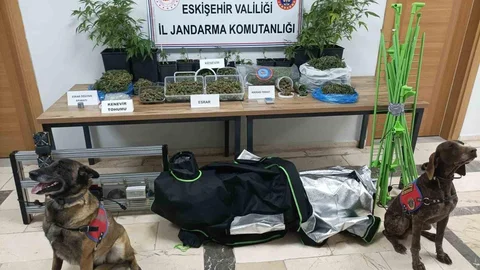 Eskişehir'de Uyuşturucu Operasyonu Yapıldı
