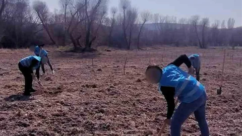 Eskişehir'de Adalet Ormanı'nda Meyve Yetiştiriliyor