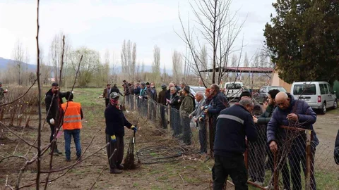 Meyve Fidanı Satışı Erzincan'da Yapılacak