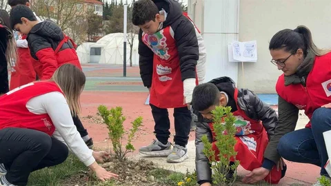 Karabük'te Öğrenciler Fidan Dikti