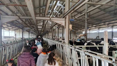 Çocuklar Tarımsal Üretimi İnceledi