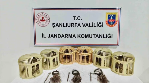 Şanlıurfa'da Kaçak Keklik Avcıları Yakalandı