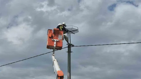 Tekirdağ'da Leylek Yuvaları Artıyor