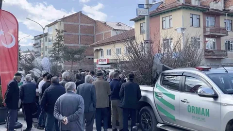 Kastamonu'da Fidan Dağıtımı Yoğun İlgi Gördü