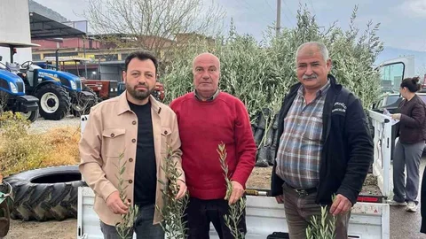 Bayındır’da Zeytin Fidanı Desteği Sağlandı