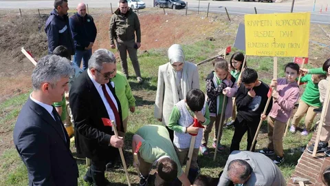 Cumayeri'nde Fidan Dikimi Etkinliği