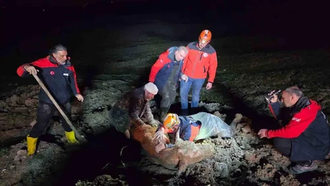 Yalova'da Bataklıkta Mahsur Kalanlar Kurtarıldı