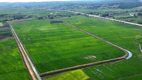 Samsun'da Bozulan Tarım Arazileri İçin Cezalar Kesildi