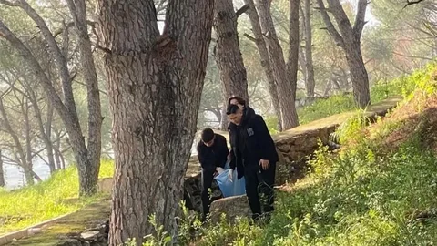 Yenipazar'da Öğrenciler Doğayı Temizledi