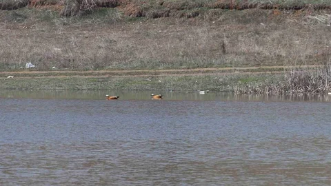 Kızılca Göleti Yeniden Dolduruldu