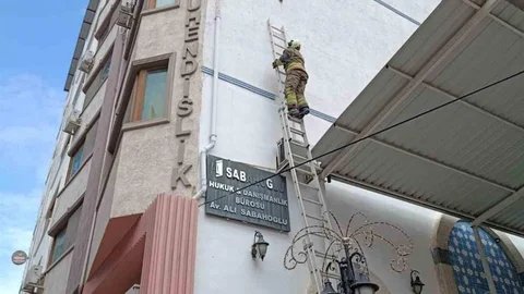 İskenderun'da Mahsur Kalan Kuş Kurtarıldı