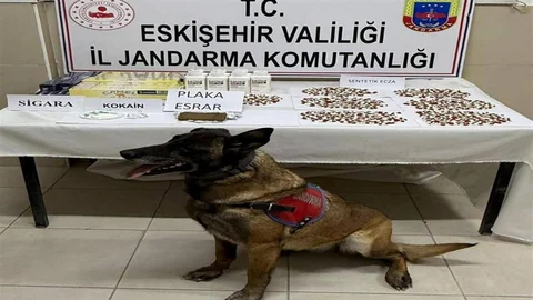 Belçika'dan Uyuşturucu Getirenler Yakalandı
