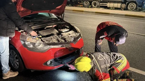 Balıkesir'de Motor Kısmına Sıkışan Tilki Kurtarıldı
