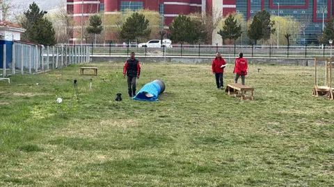 Afyonkarahisar'da Köpek Sınavı Başladı