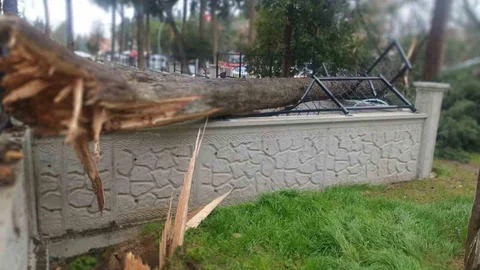 Fırtına Tavas’ta Hayatı Olumsuz Etkiledi