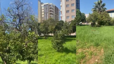 Mezitli’de "Yeşil" Alarm: Hacı Muzaffer Doğaner Parkı Kaderine Mi Terk Edildi?