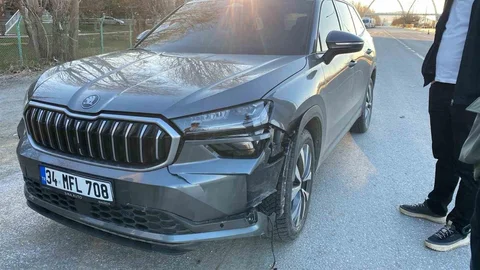 Muş'ta Otomobil Köpeğe Çarptı