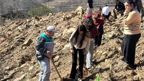 Orman Haftası'nda Fidanlar Toprakla Buluştu