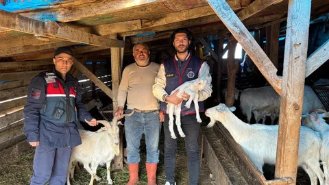 Balıkesir'de Kaybolan Hayvanlar Bulundu