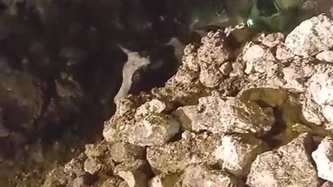 Batman'da Fırtına Sonucu Bina Çöktü