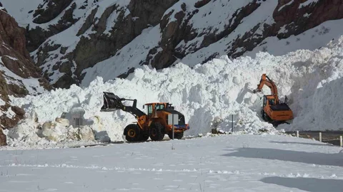 Van'da Çığ Felaketi