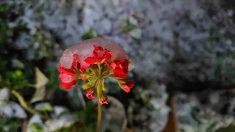 Denizli'de Bahar Karı Sürücüleri Mağdur Etti