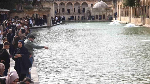 Güneşle Gelen Ziyaretçi Akını