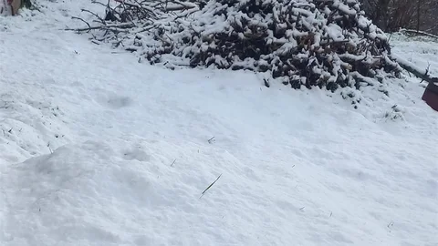 Çameli'de Kar Kalınlığı 20 Santimetreye Ulaştı