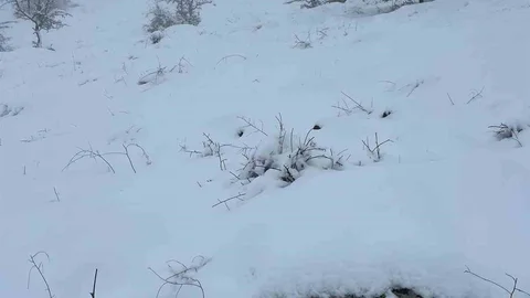 Mart Sonunda Aydın'da Kar Yağışı