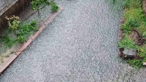 Adana'da Yağmur Sonrası Sel Olayı