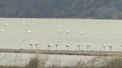 Eceabat’ta Doğa İncelemesi Yapıldı