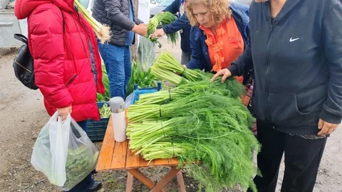 Ot Festivali Yağmur Nedeniyle İptal Edildi