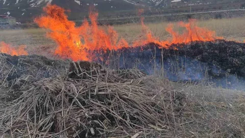 Van'da Anız Yangını Kontrol Altına Alındı