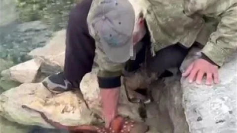 İzmir'de Ahtapot Avlama Anları Kaydedildi