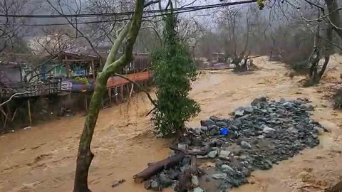 Yalova'da Sel Olayı ve Hayvan Kaybı