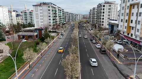 Diyarbakır'da Bahar Renkleriyle Süsleniyor
