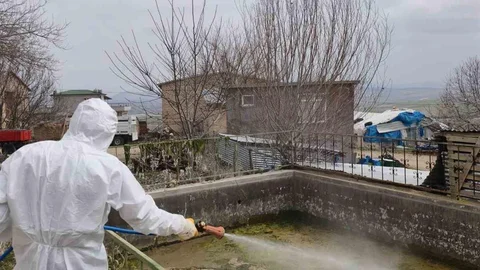 Elazığ'da Larva İlaçlama Faaliyetleri Başladı