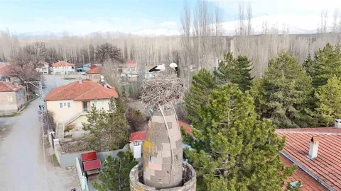 Kayseri'de Leylekler Yuvalarına Döndü