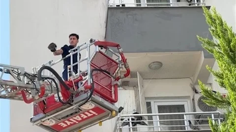Mersin'de Güvercin Kurtarıldı