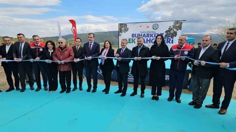 Aydın'da İlek Bahçeleri Açıldı