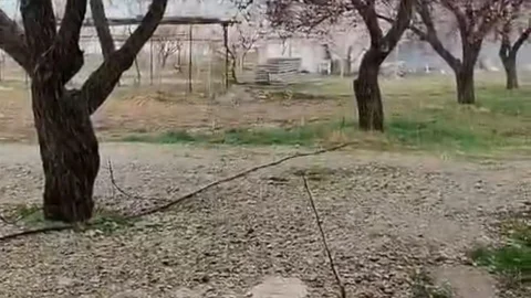 Malatya’da Dolu Yağışı Etkili Oldu